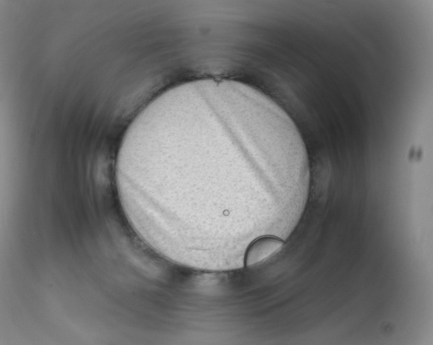 X0000112810126200909111308