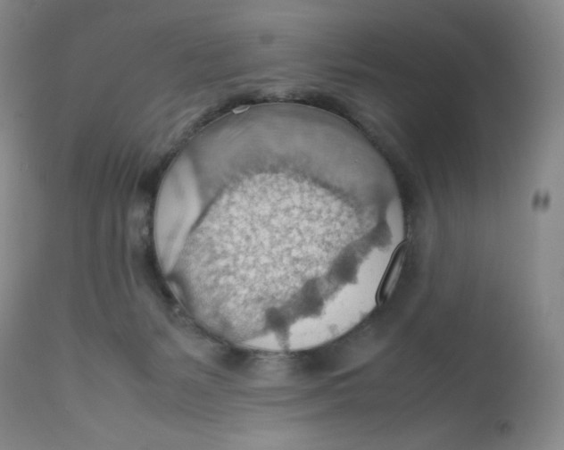 X0000112810127200909111308