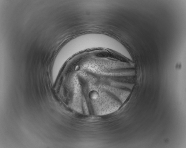 X0000112810128200909111308