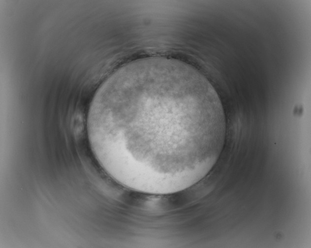 X0000112810130200909111308