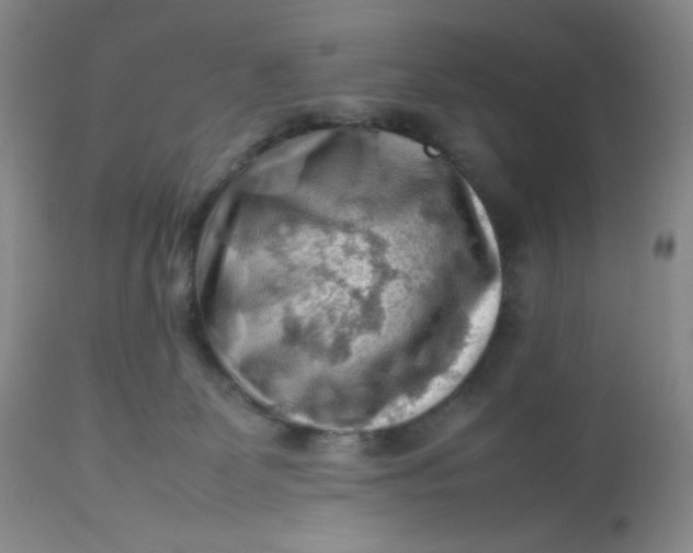 X0000112810131200909111308