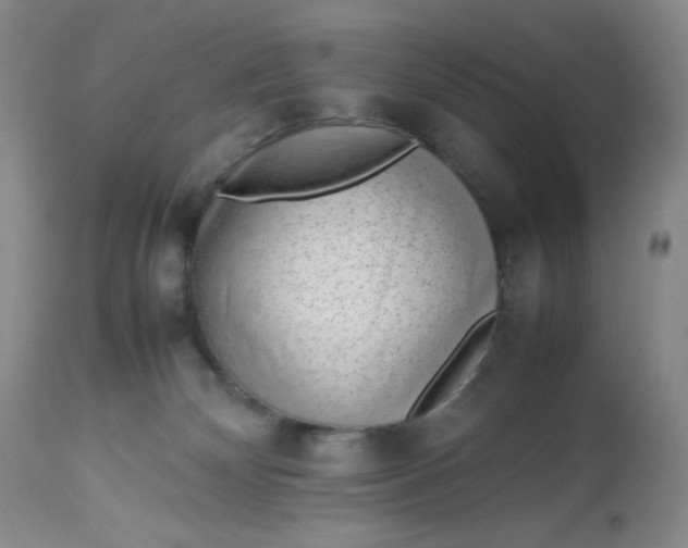 X0000112810132200909111308