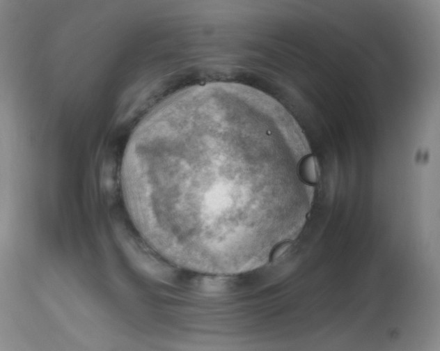 X0000112810134200909111308