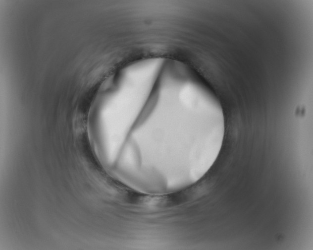 X0000112810135200909111308