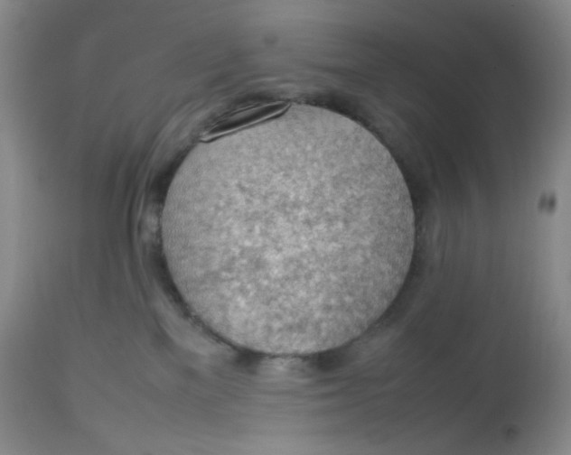 X0000112810137200909111308