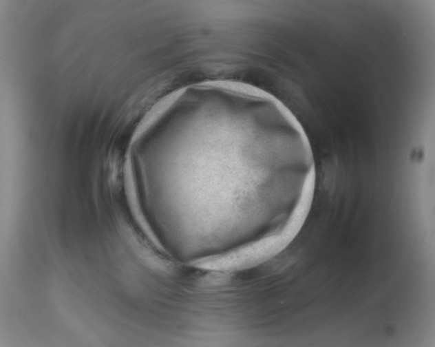 X0000112810138200909111308