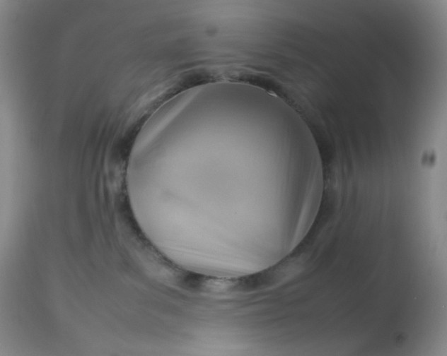 X0000112810139200909111308