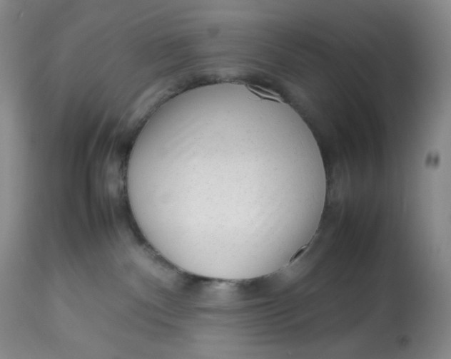 X0000112810140200909111308