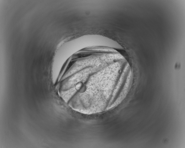 X0000112810144200909111308