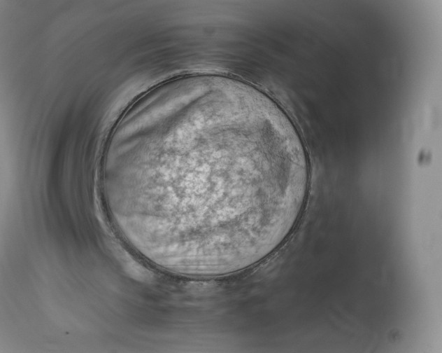 X0000112810145200909111307