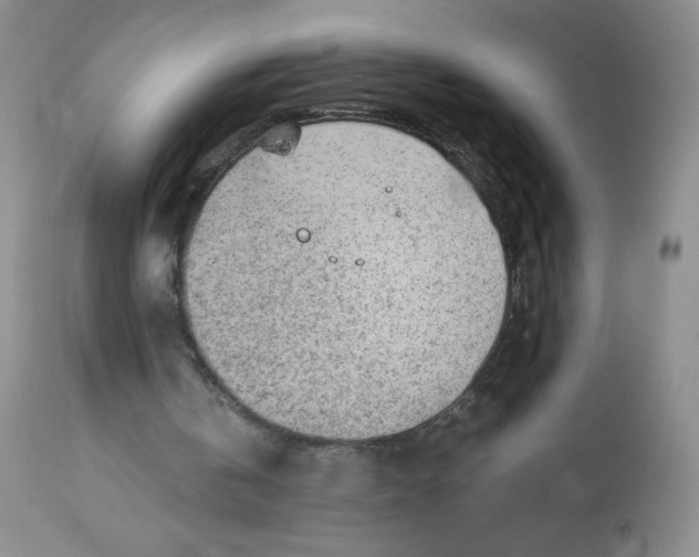 X0000112810146200909111307