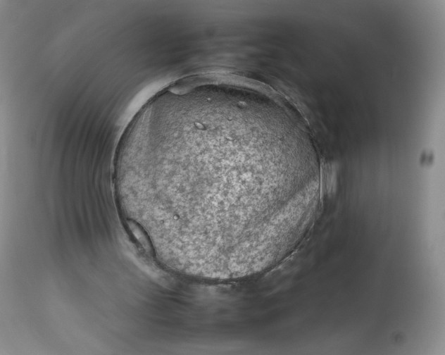 X0000112810147200909111307