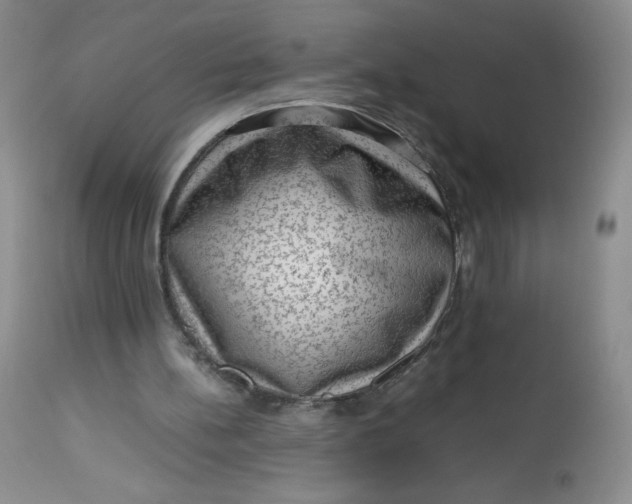 X0000112810148200909111307