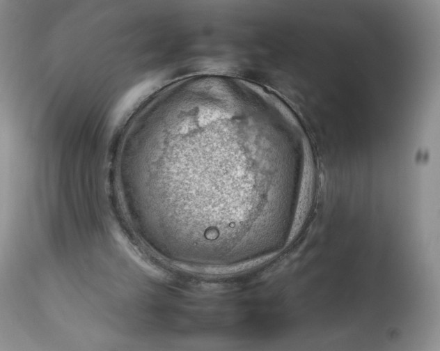 X0000112810149200909111307