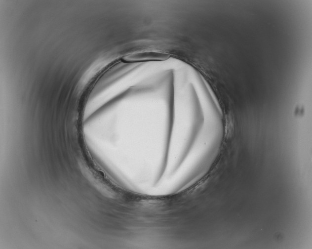 X0000112810150200909111307