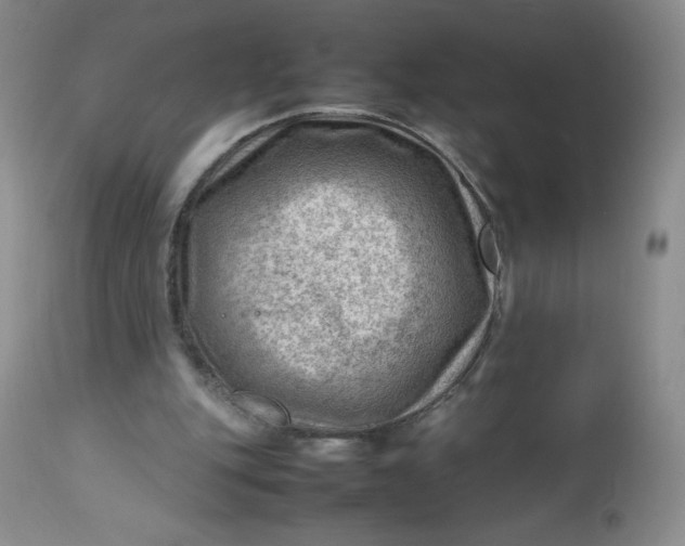 X0000112810151200909111307