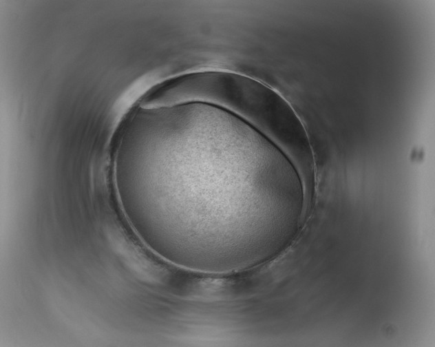 X0000112810152200909111307