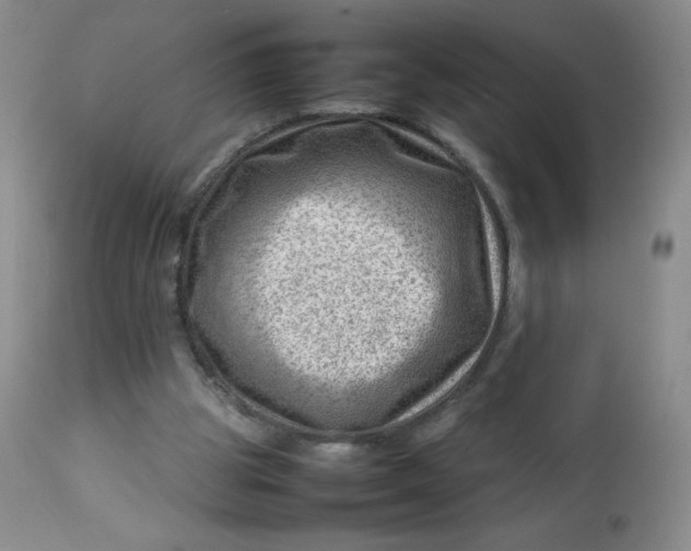 X0000112810153200909111307