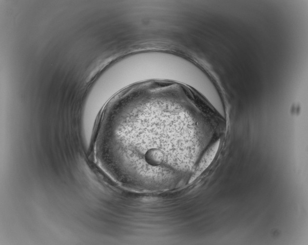 X0000112810154200909111307