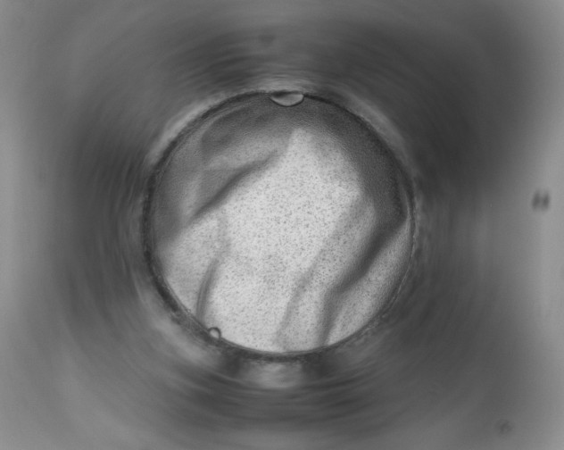 X0000112810155200909111307