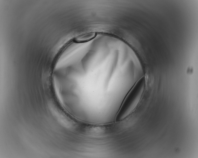 X0000112810156200909111307