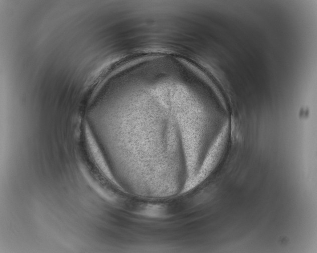 X0000112810157200909111307