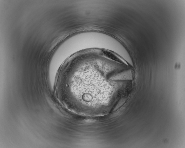 X0000112810158200909111307