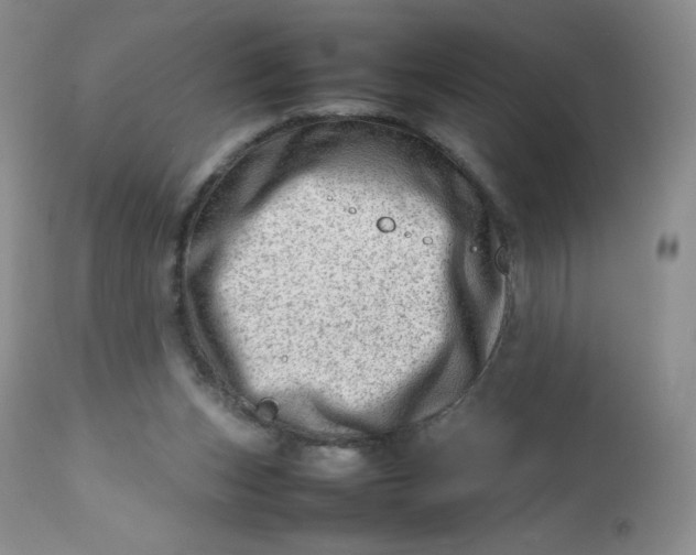 X0000112810159200909111307