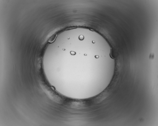 X0000112810160200909111307