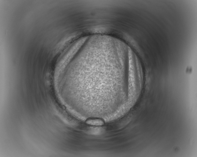 X0000112810161200909111307