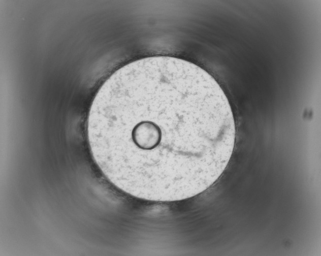 X0000112810162200909111307