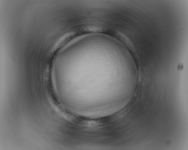 X0000112810163200909111307