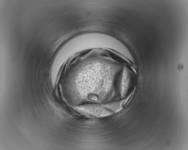 X0000112810164200909111307