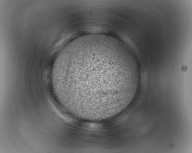 X0000112810165200909111307