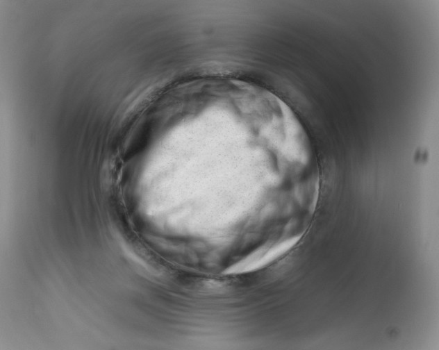 X0000112810166200909111307