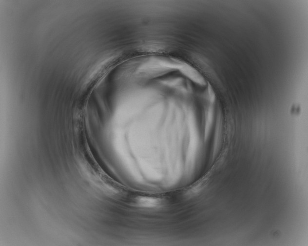 X0000112810167200909111307