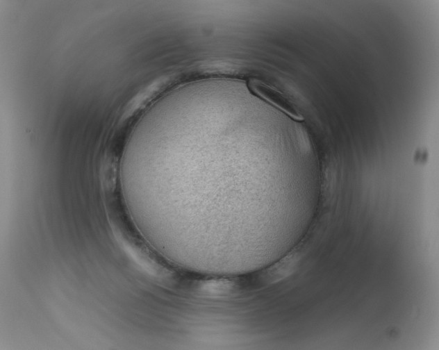 X0000112810168200909111307