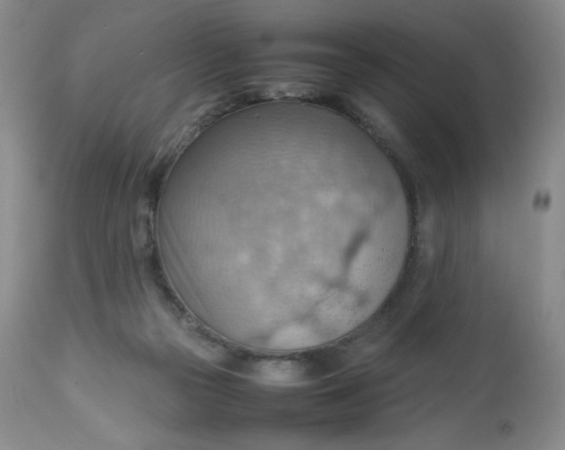 X0000112810169200909111307