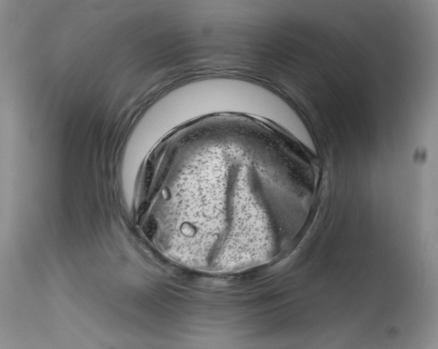 X0000112810170200909111307