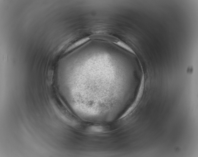 X0000112810171200909111307