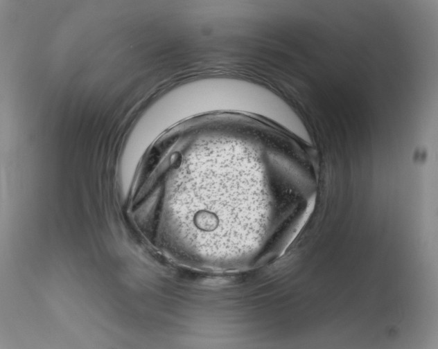 X0000112810172200909111307