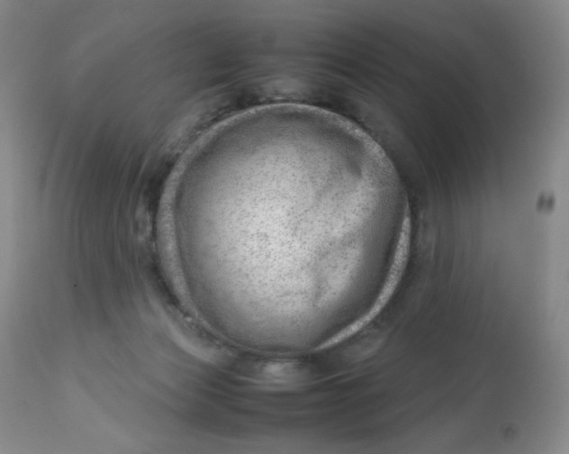 X0000112810173200909111307