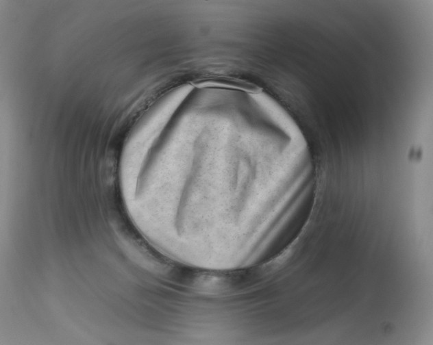 X0000112810174200909111307