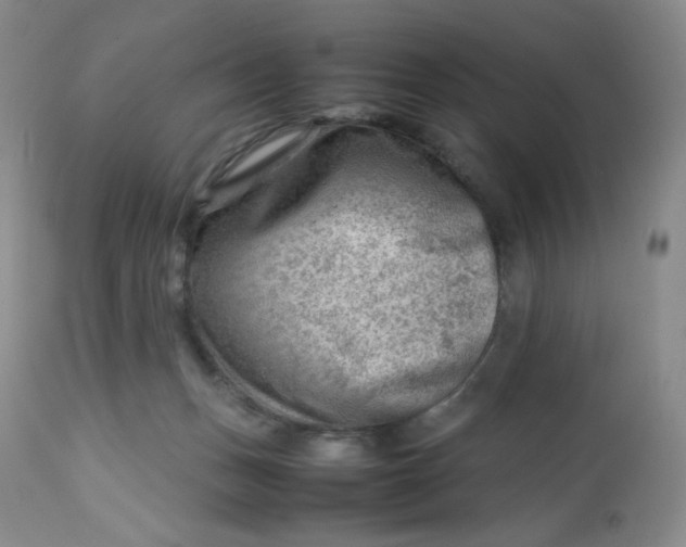 X0000112810175200909111307