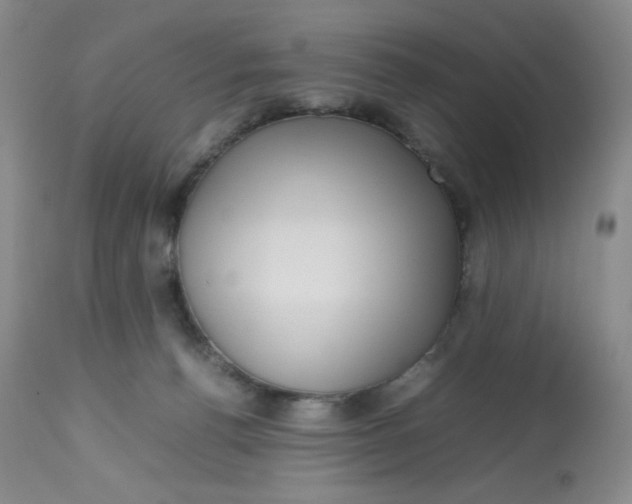 X0000112810176200909111307