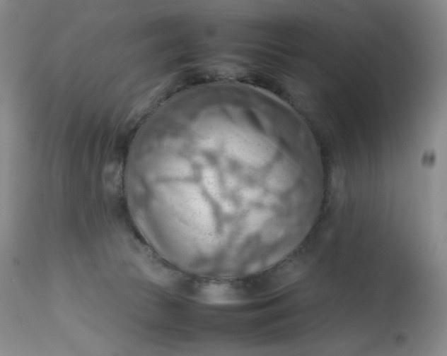 X0000112810177200909111307