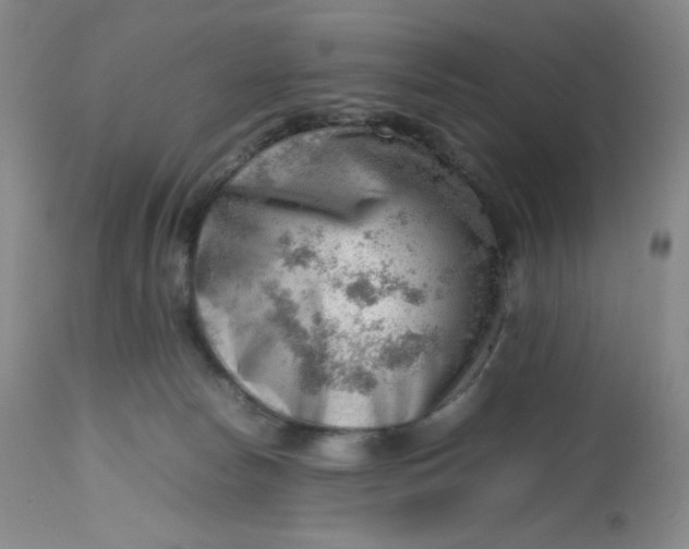 X0000112810178200909111307