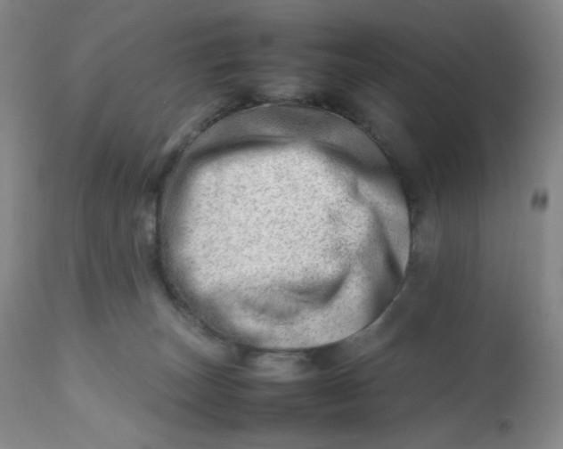 X0000112810179200909111307