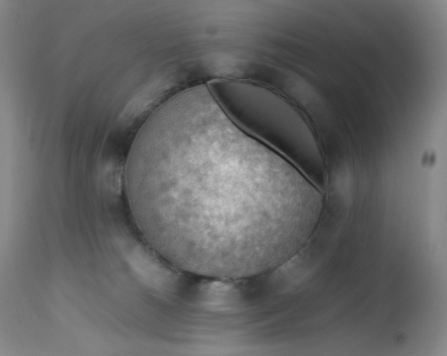 X0000112810180200909111307