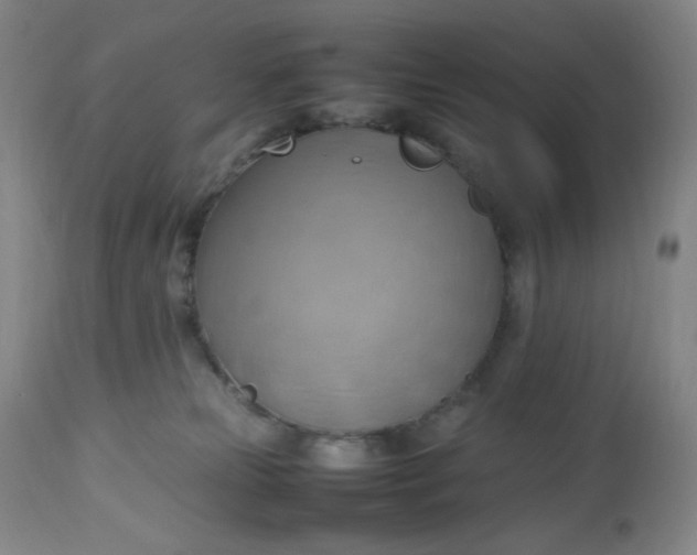 X0000112810181200909111307